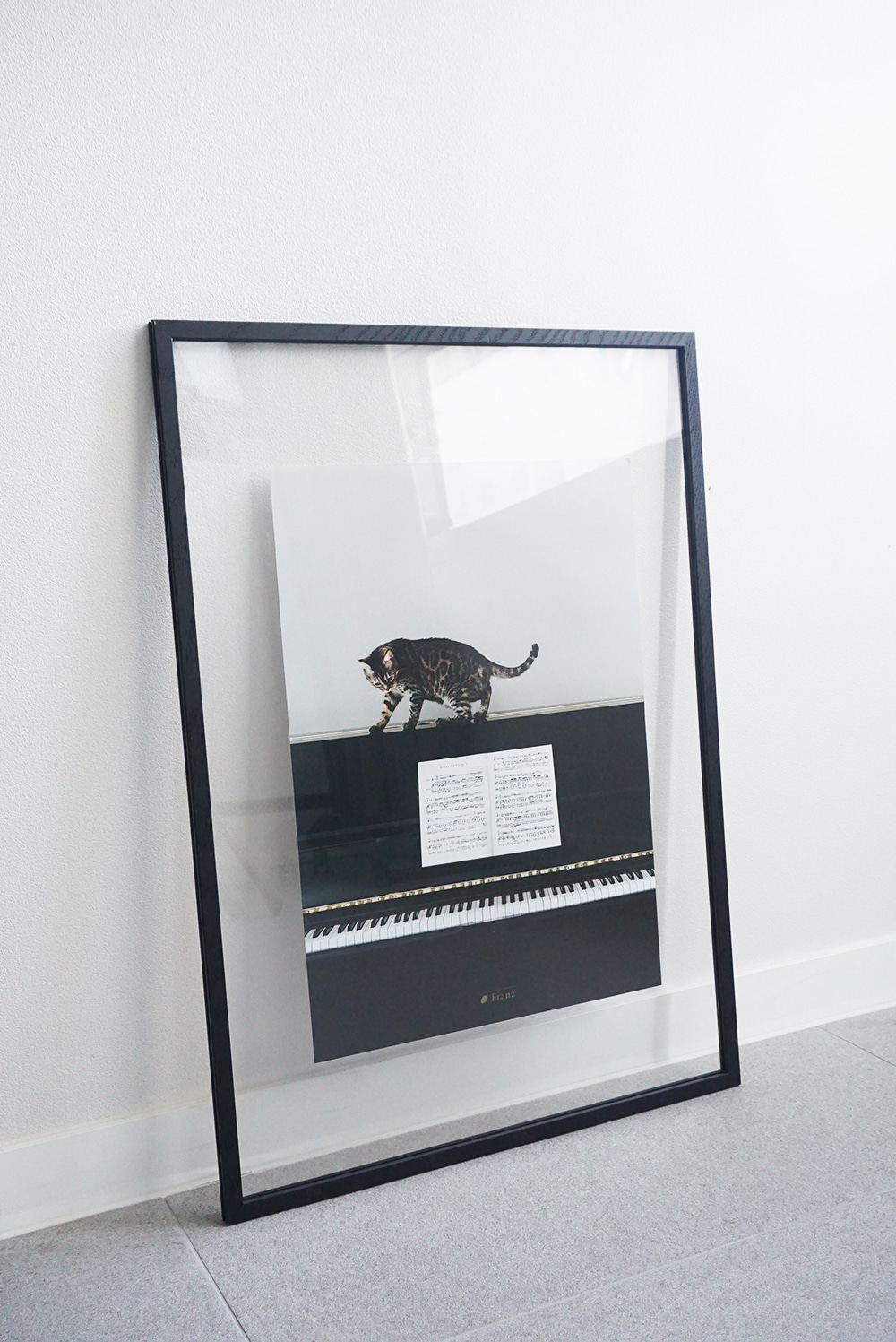 피아노 위 고양이 포스터