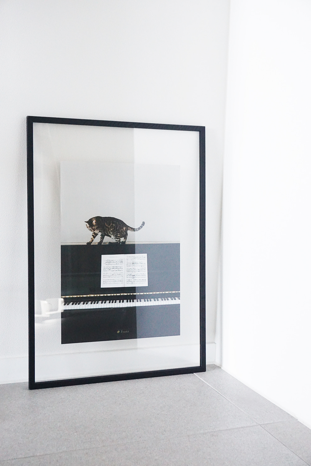 피아노 위 고양이 포스터