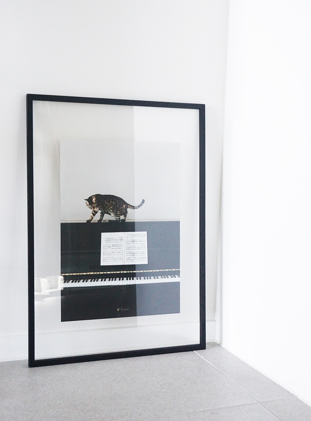 프란츠 - 피아노 위 고양이 포스터